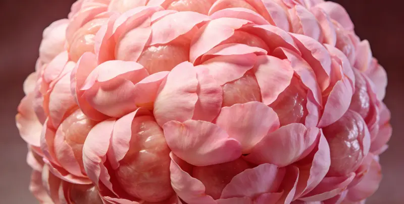 萍乡BRCA1/2乳腺癌卵巢癌基因检测图片1